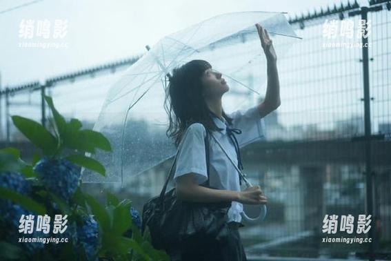 www.17视频导航实用指南，妹子直播间吃瓜笑不停