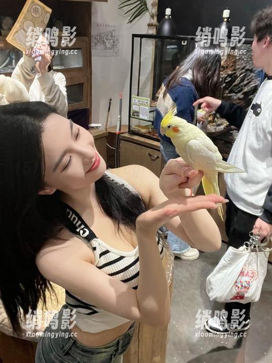 赶快来51cgfun官网，今天有什么新鲜瓜可以在线吃呢？