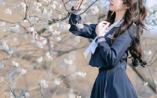 51吃瓜下载合集分享，支持多设备同步使用