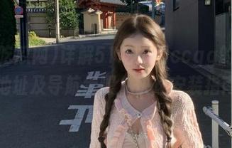 详解51吃瓜网ccgg的下载地址及导航步骤，快速安装指南