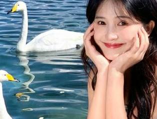 与众不同的51吃瓜网最新网址：开启你的吃瓜之旅网页指南