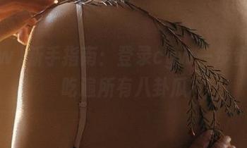 新手指南：登录cgw一步步教你吃遍所有八卦瓜