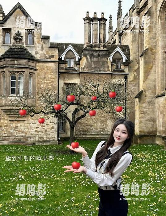 明星黑料APP下载地址及使用指南详解