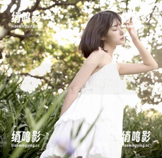 如何在91黑料正能量中收藏精彩内容，轻松获取最新娱乐资讯!