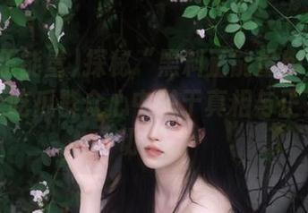 探秘“黑料正能量hl”：直达每个吃瓜群众心中关于真相与正义的热切期待